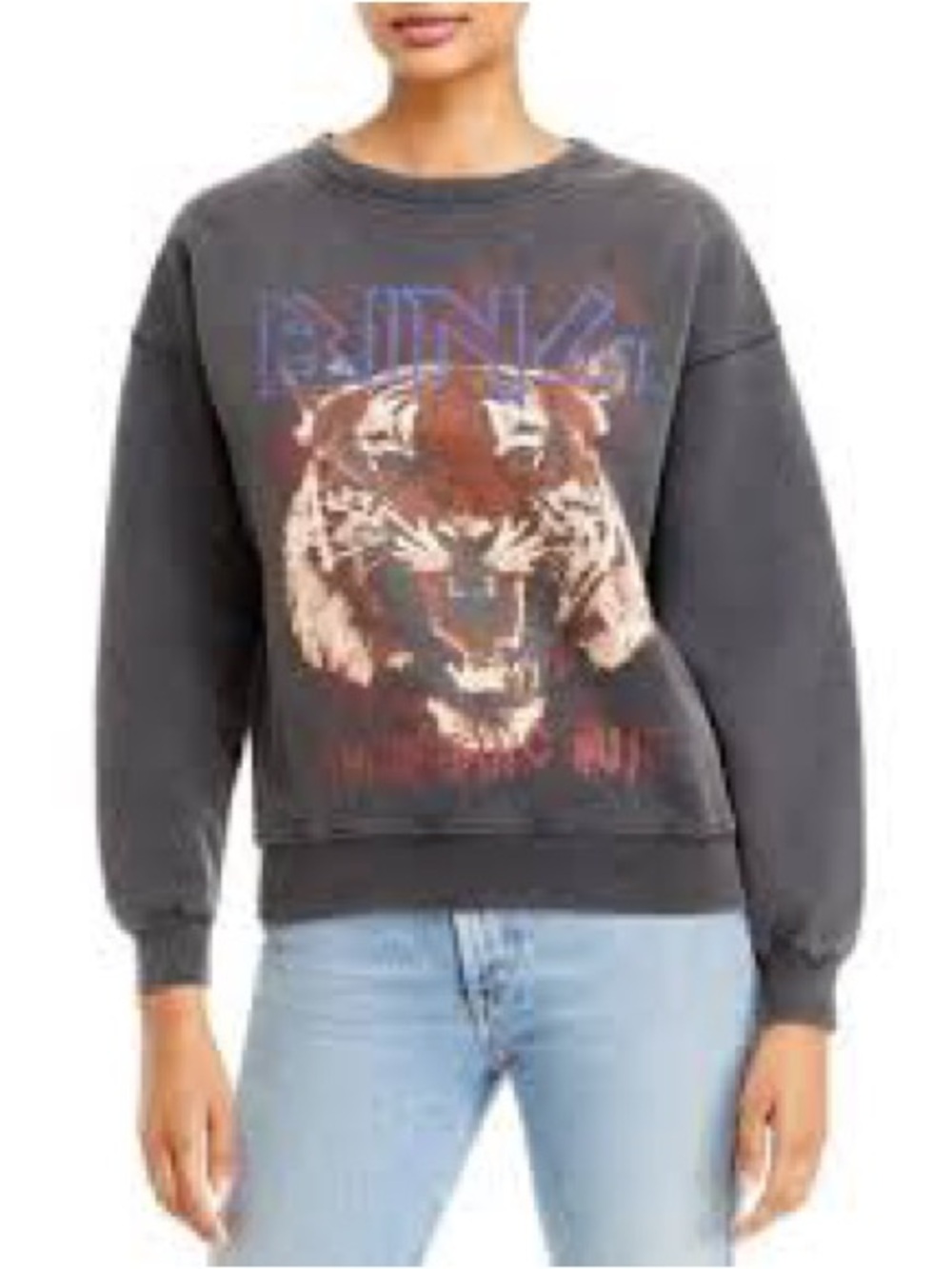 Anine Bing Graphic Tiger Sweatshirt